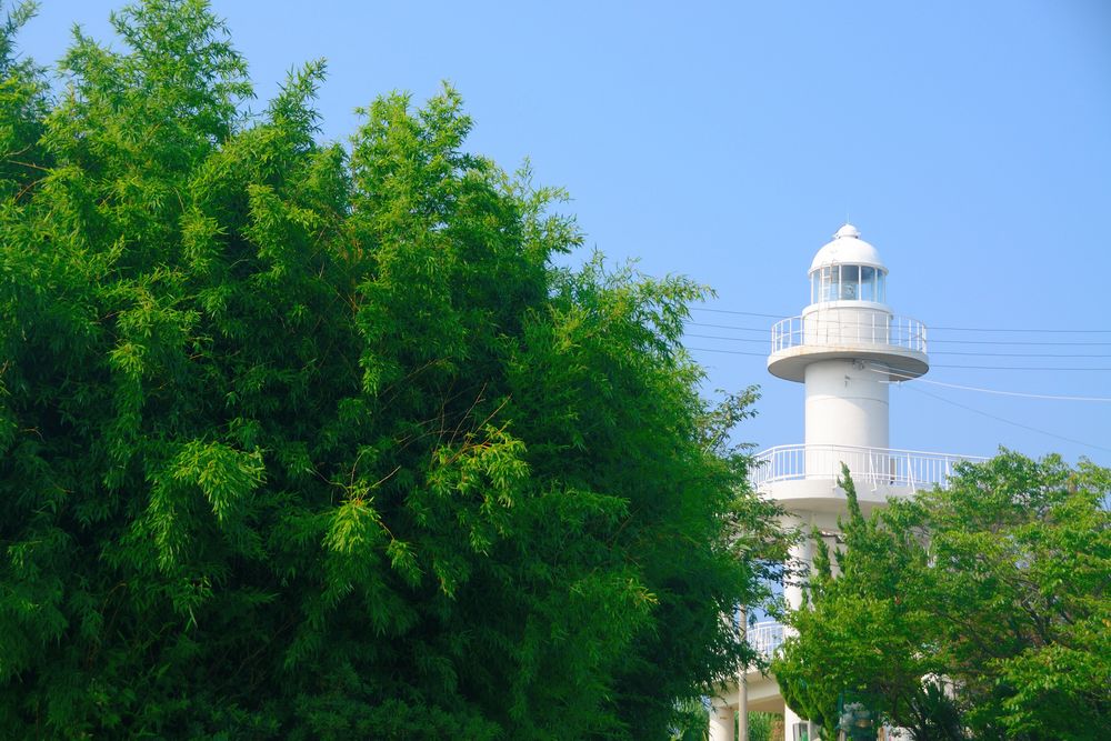 雑賀崎灯台の画像 - 3枚目