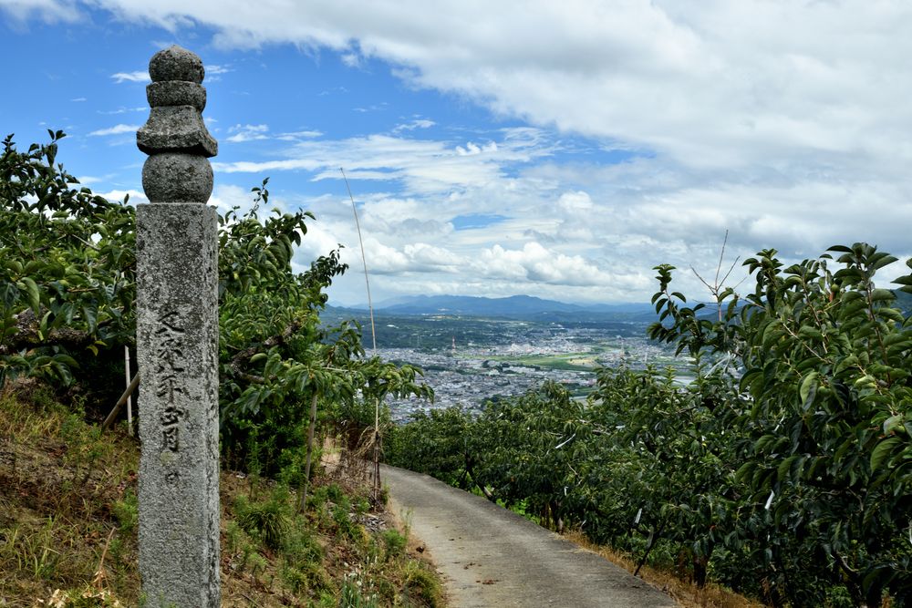 高野山町石道展望台