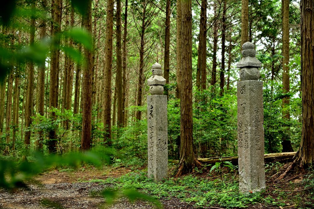 高野山町石道展望台の画像 - 2枚目