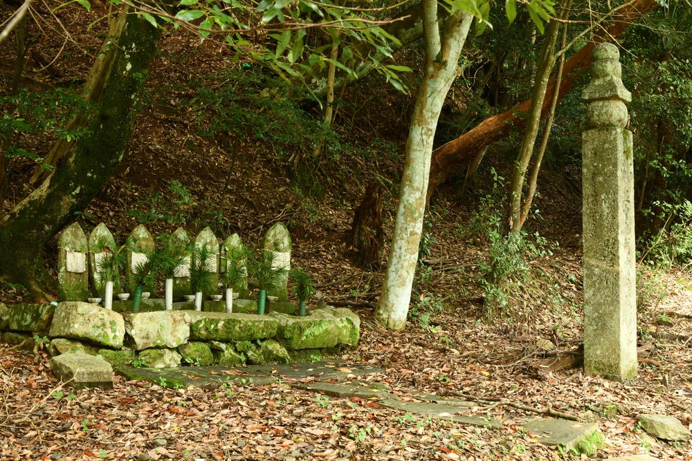 高野山町石道展望台の画像 - 4枚目
