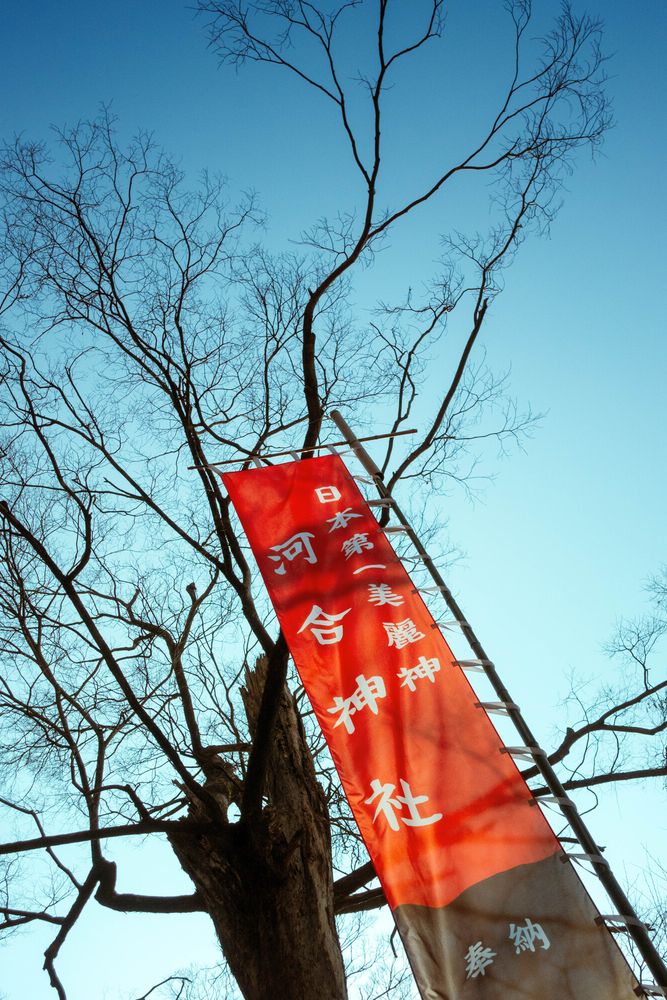 河合神社の画像 - 4枚目