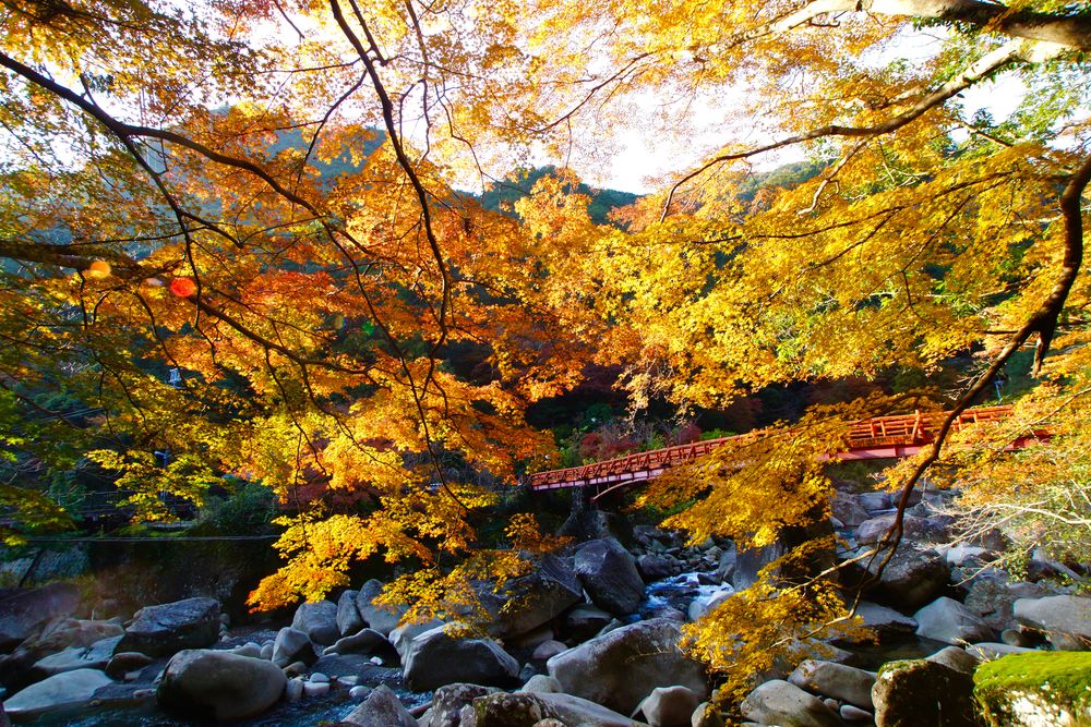 奇絶峡の画像 - 3枚目