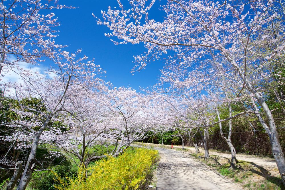 平草原公園