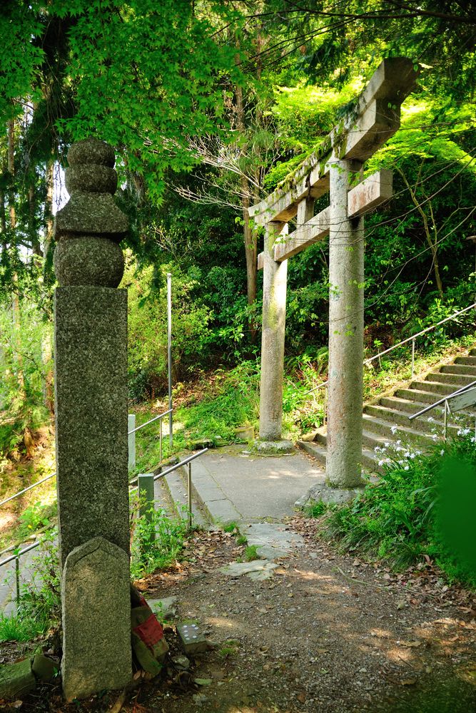 高野参詣道町石道の画像 - 2枚目