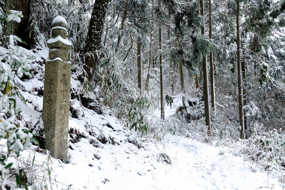 高野参詣道町石道の画像 - 3枚目