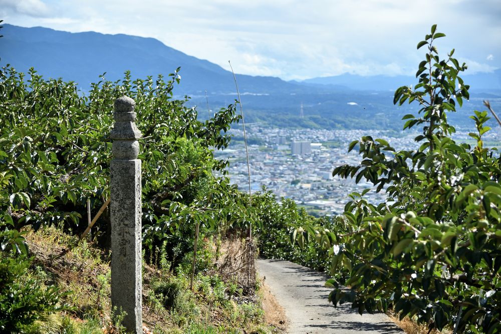 高野参詣道町石道の画像 - 4枚目