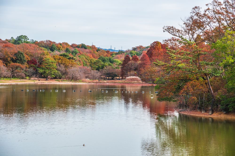 愛知県森林公園の画像 - 4枚目