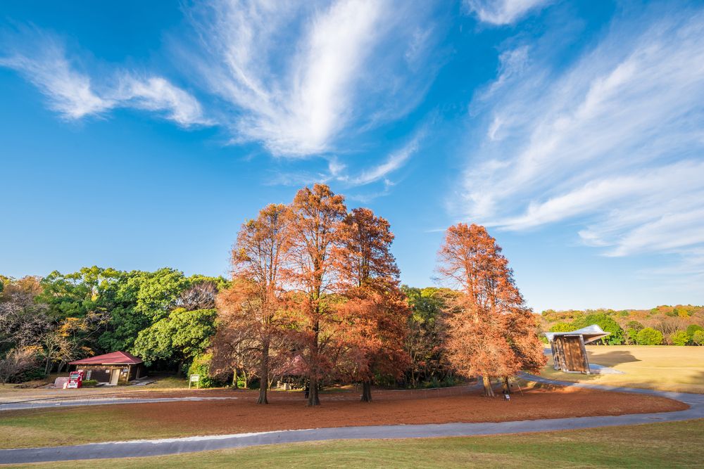 愛知県森林公園の画像 - 6枚目