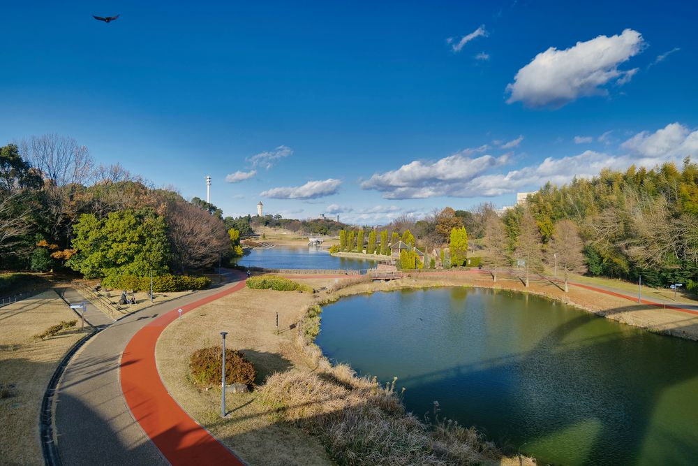 あいち健康の森公園の画像 - 5枚目