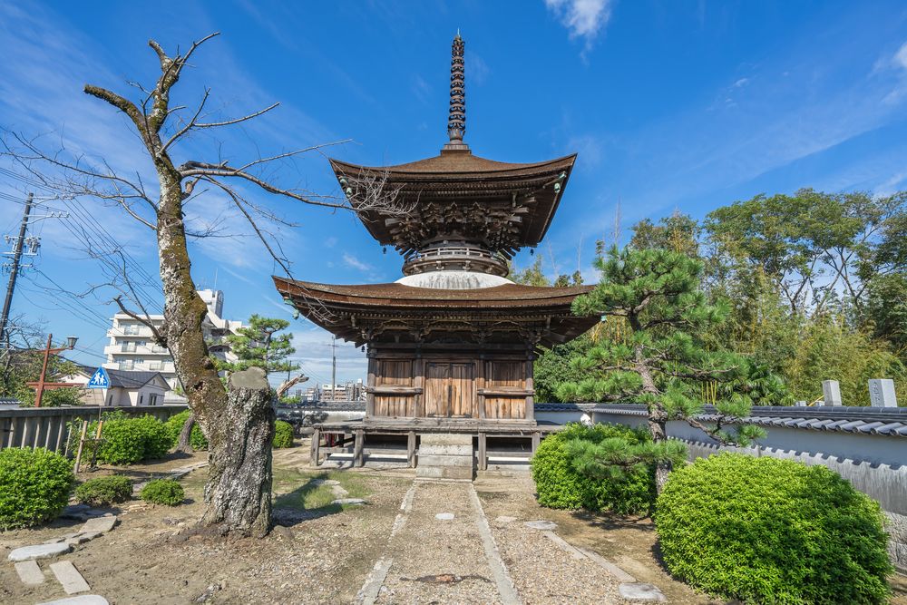 大樹寺の画像 - 2枚目