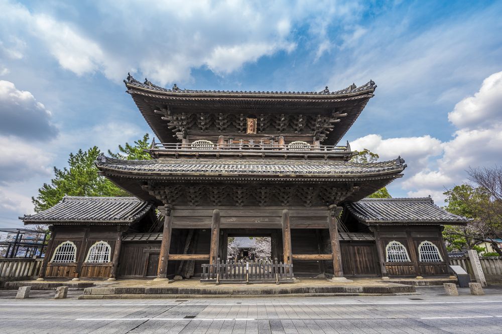 大樹寺の画像 - 5枚目
