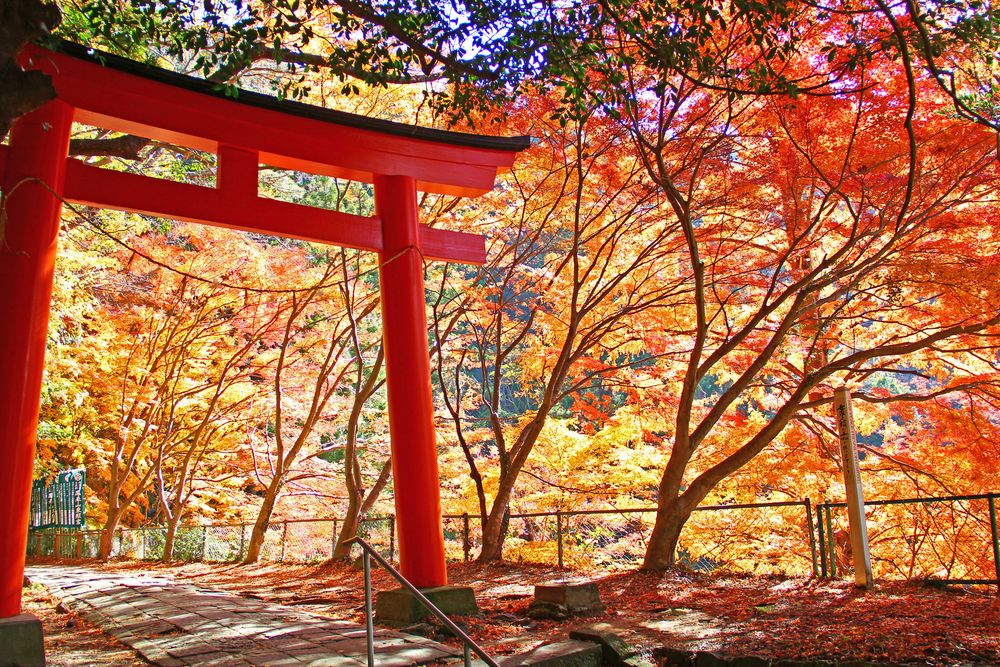 鳳来寺の画像 - 2枚目
