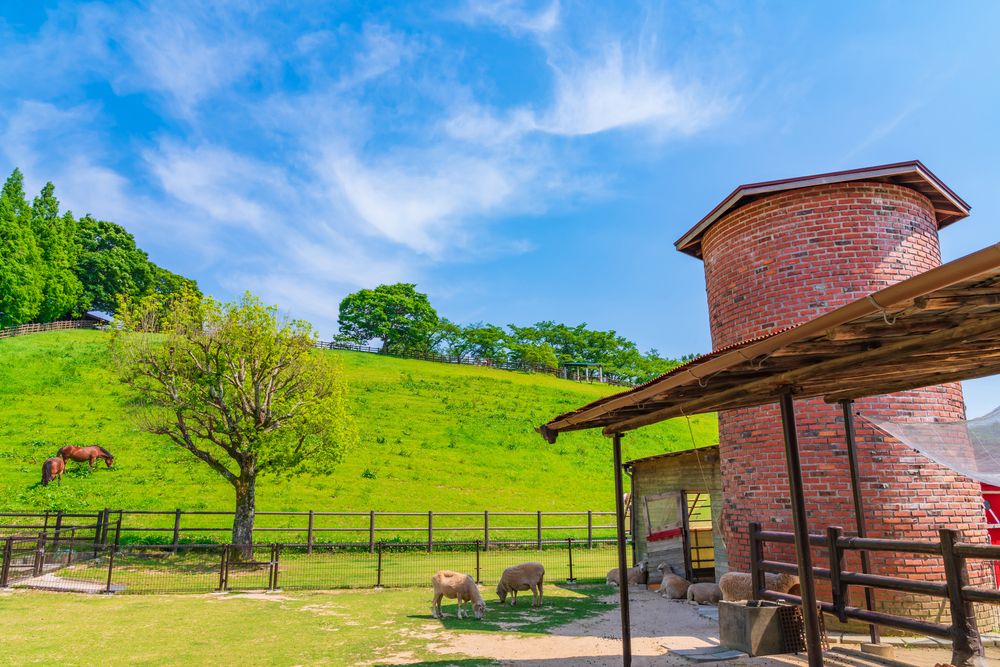 鞍ケ池公園 動物園