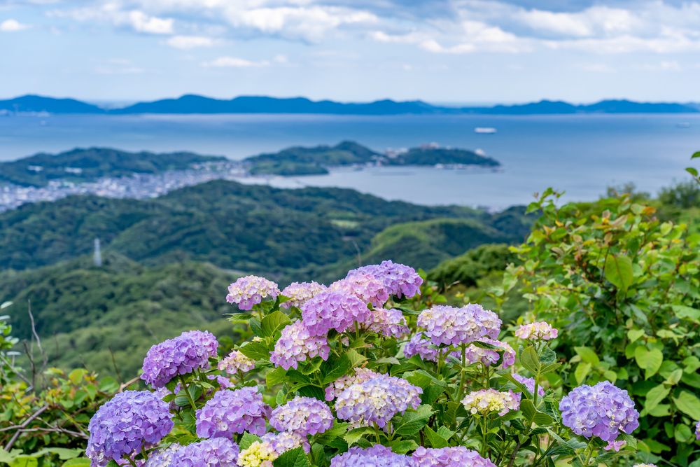 三ヶ根山スカイラインの画像 - 3枚目