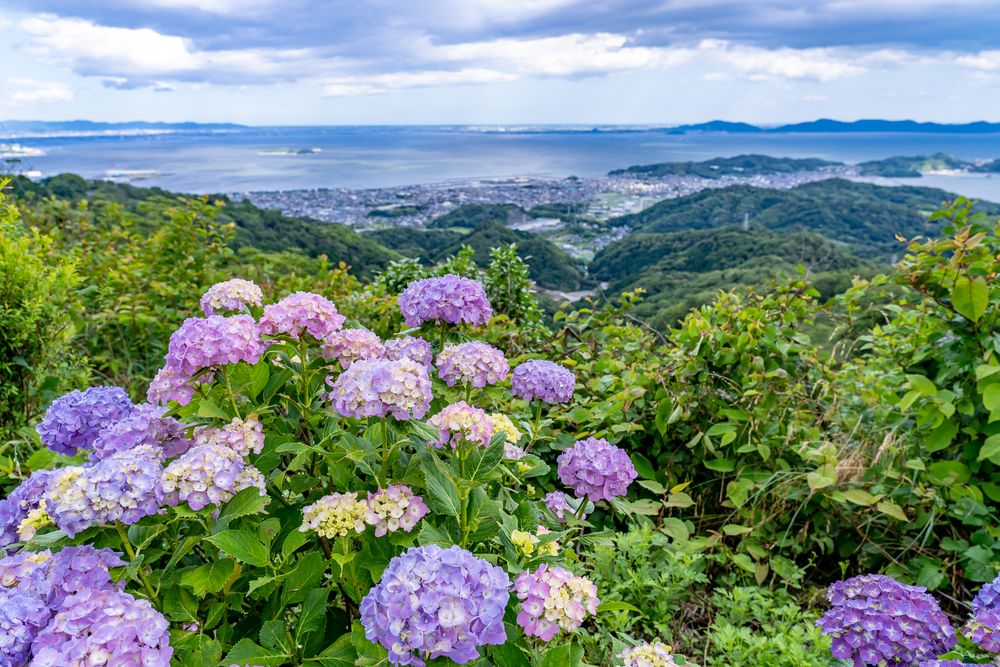 三ヶ根山スカイラインの画像 - 4枚目