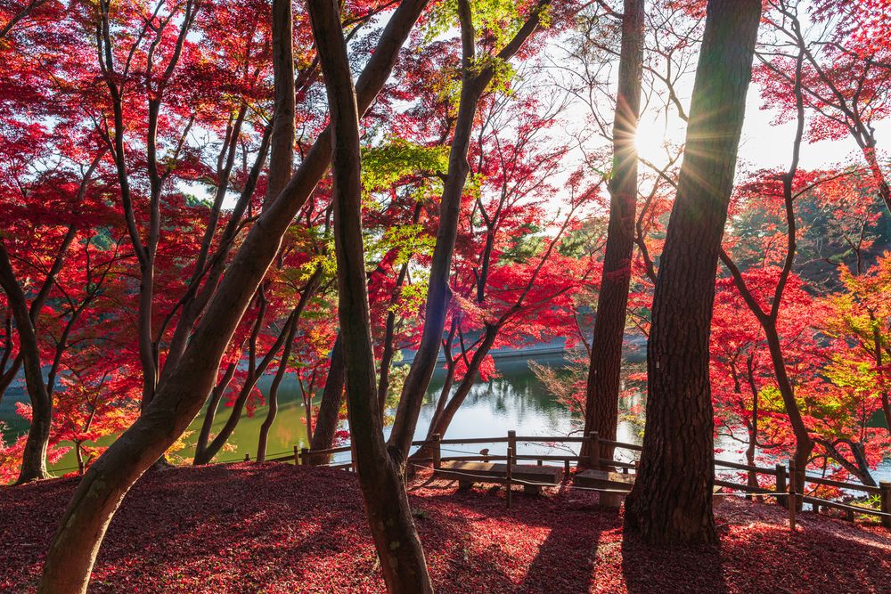 岡崎市東公園の画像 - 5枚目