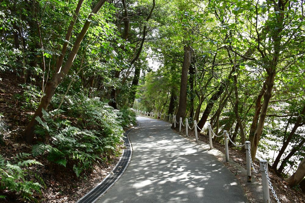 大池公園の画像 - 4枚目