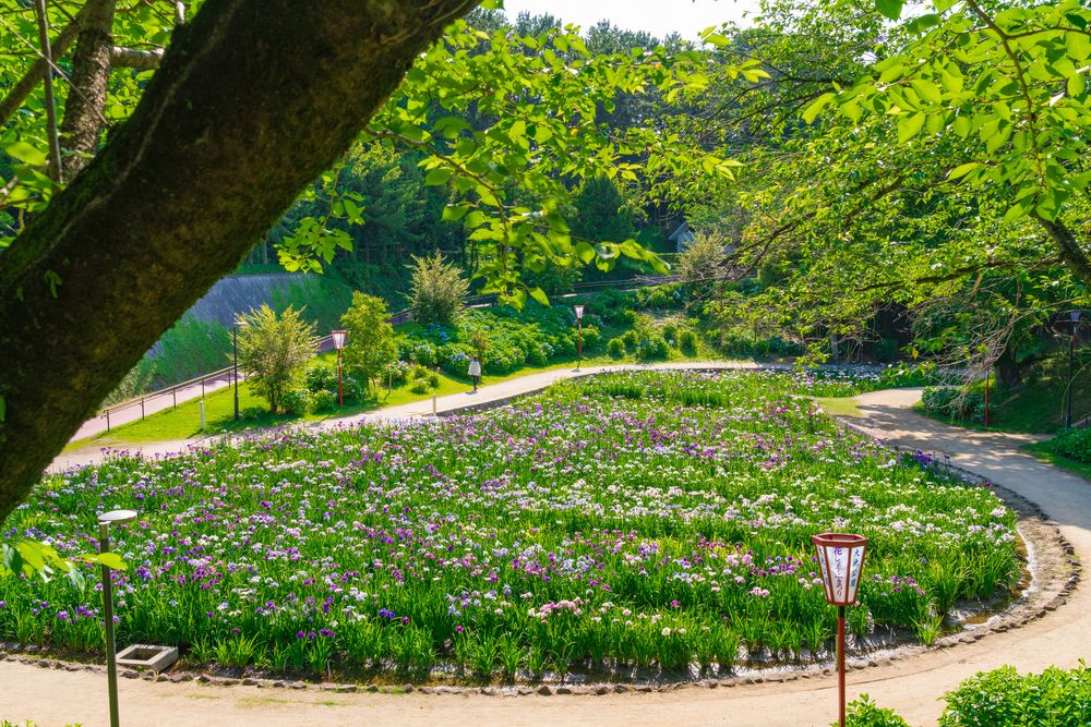 大池公園