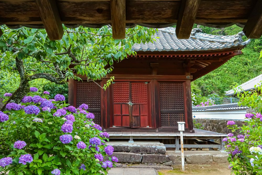本光寺の画像 - 2枚目