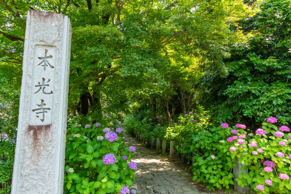 本光寺の画像 - 4枚目