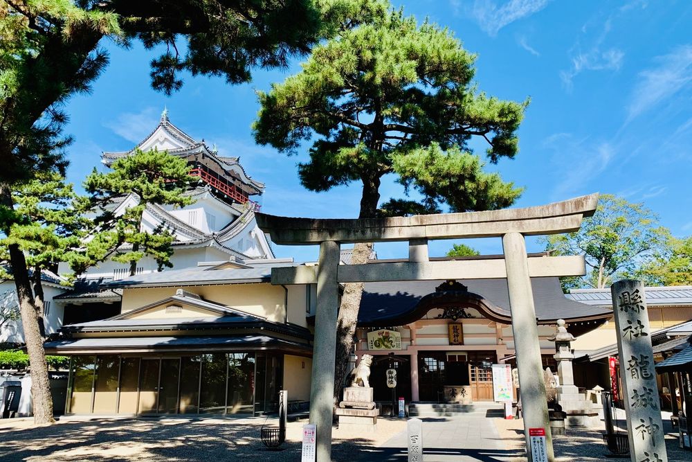 龍城神社の画像 - 5枚目