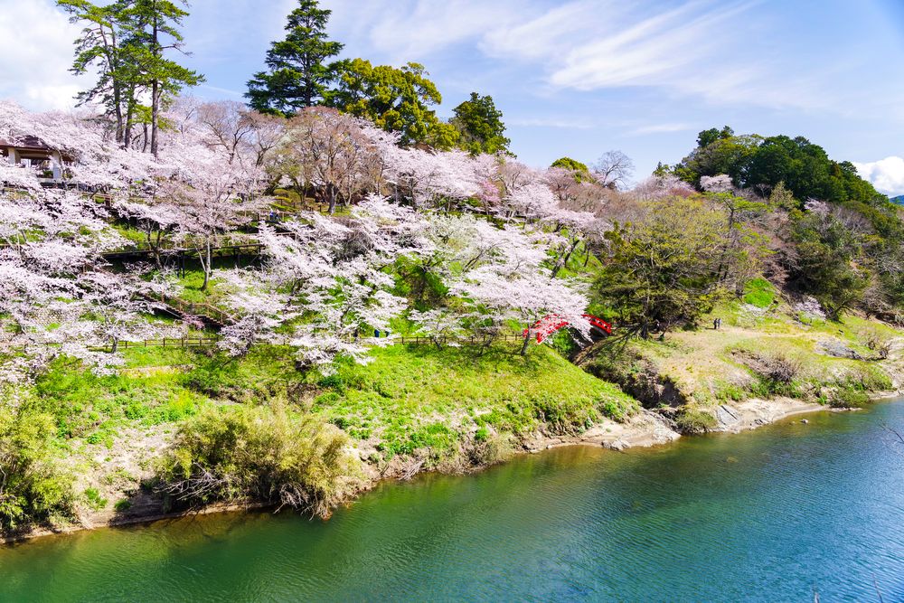 桜淵公園の画像 - 4枚目