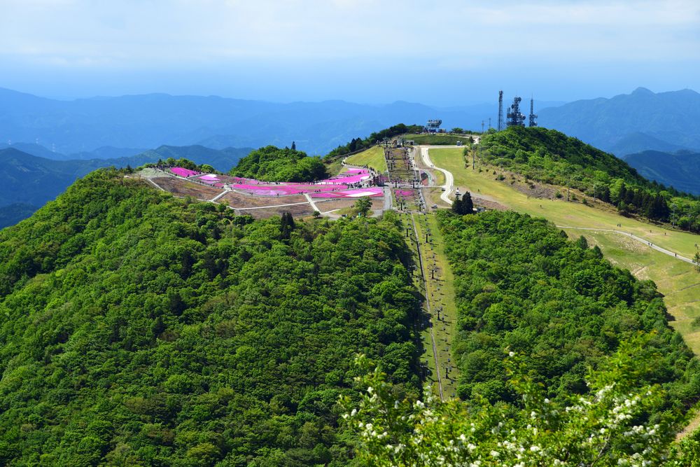 芝桜の丘の画像 - 3枚目