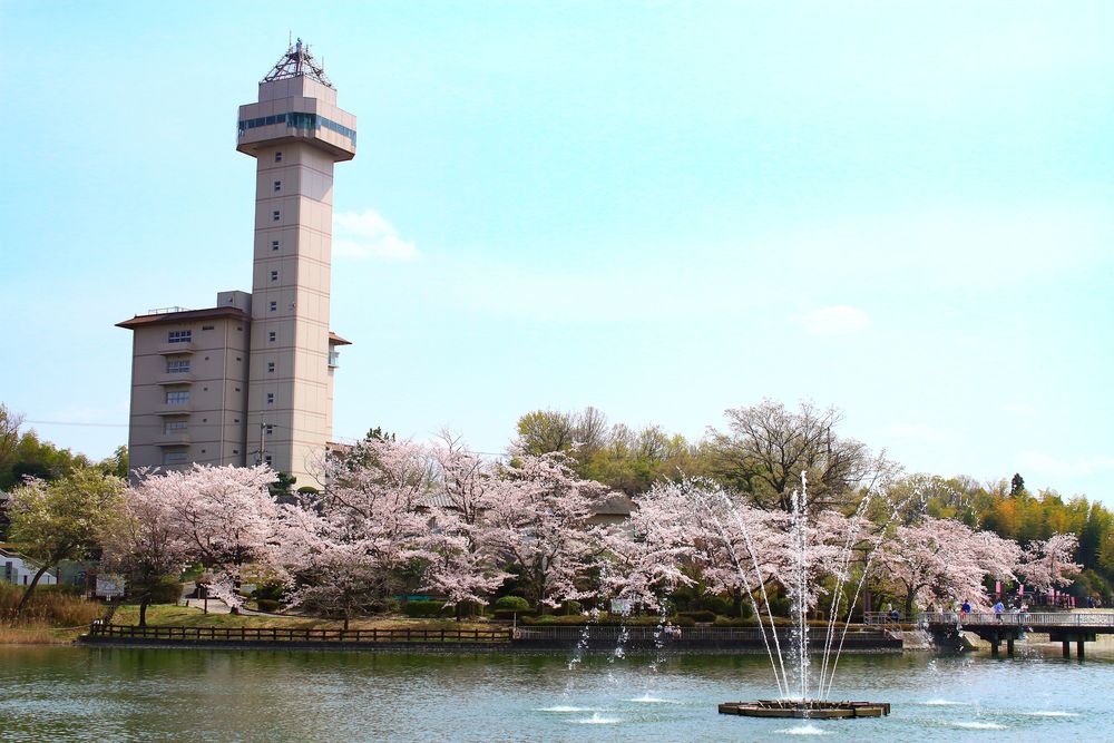 スカイワード あさひの画像 - 2枚目