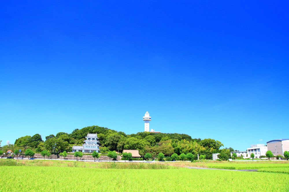 スカイワード あさひの画像 - 5枚目