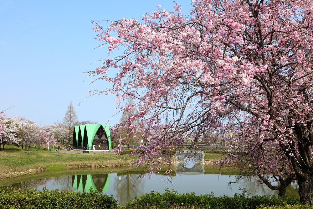 落合公園の画像 - 4枚目