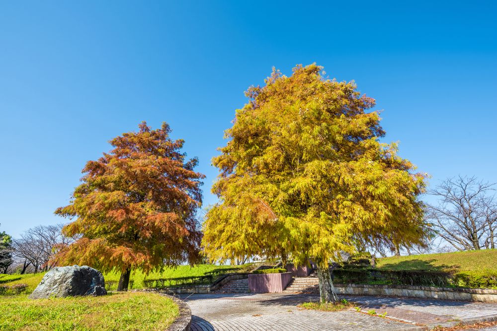 落合公園の画像 - 5枚目