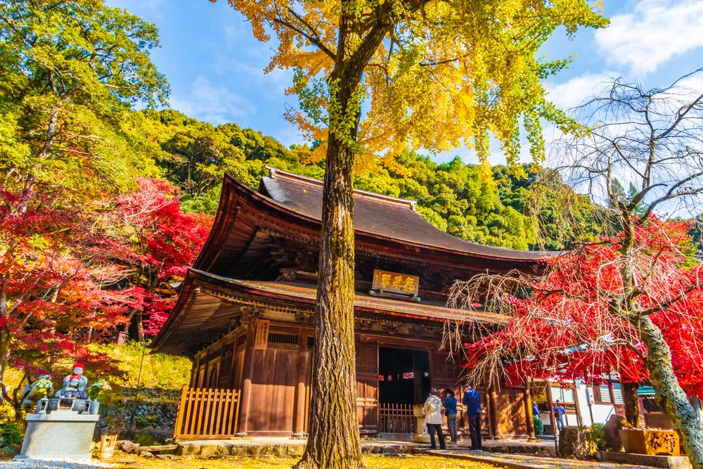 定光寺公園の画像 - 4枚目