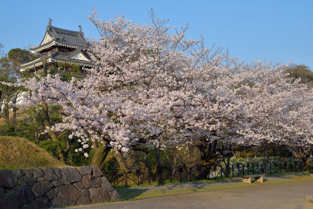 西尾市歴史公園の画像 - 2枚目