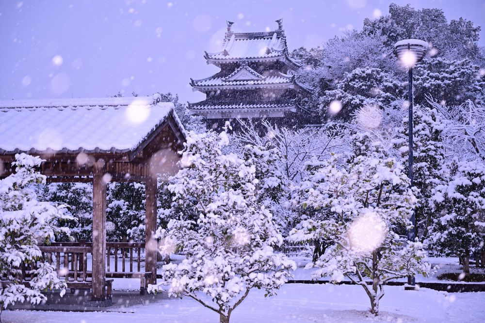 西尾市歴史公園の画像 - 4枚目