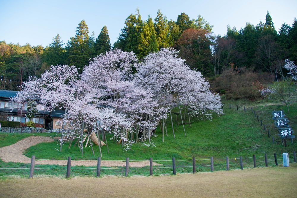 花の森 四十八滝山野草園】の周辺スポット・アクセス・口コミ - Prism