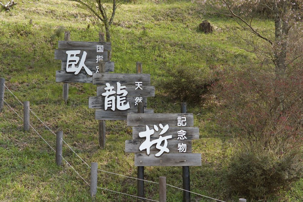 臥龍公園の画像 - 6枚目
