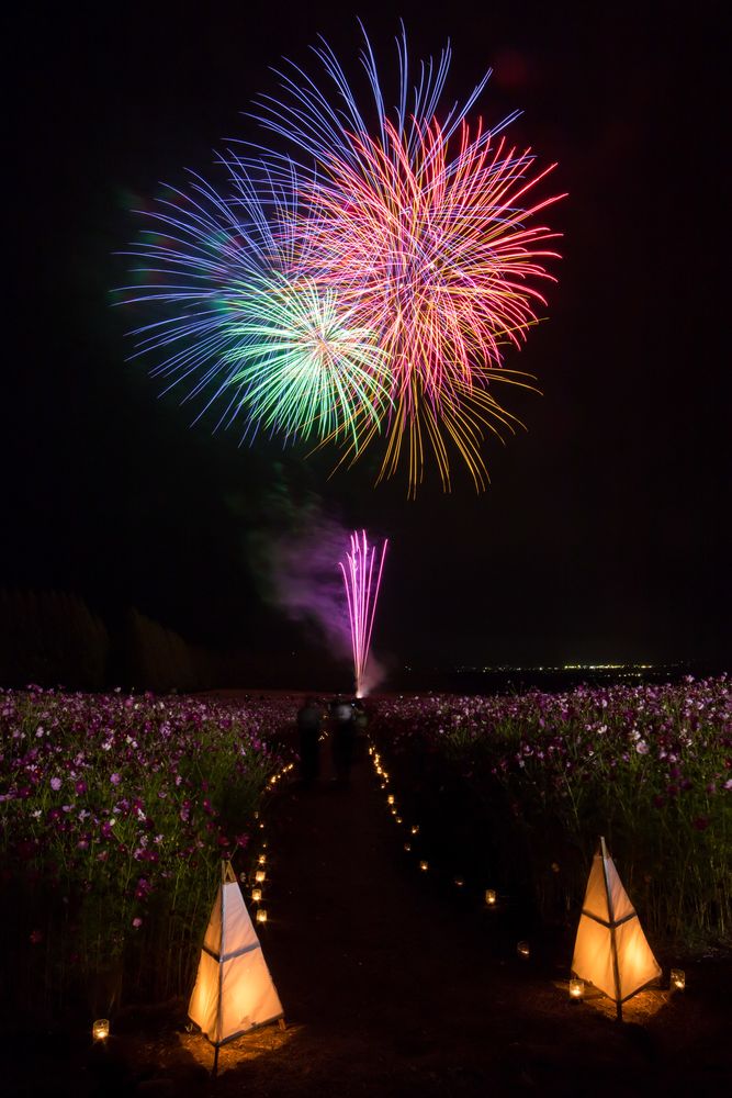 生駒高原の画像 - 2枚目