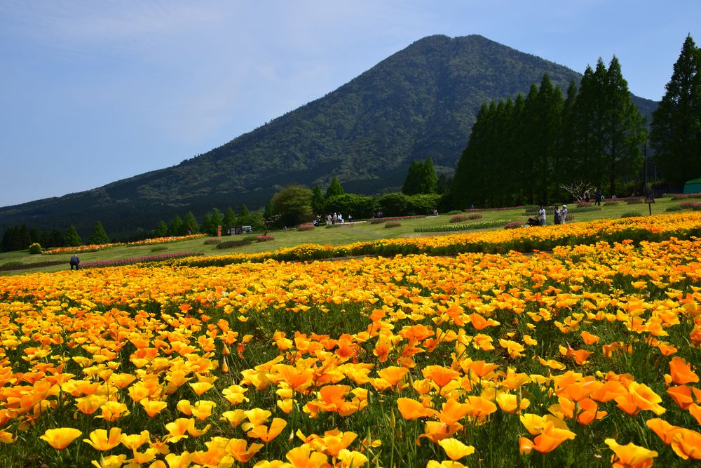 生駒高原の画像 - 4枚目