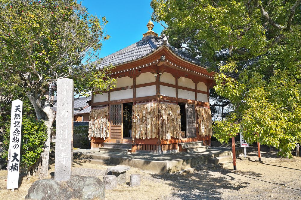 無量寺の画像 - 5枚目