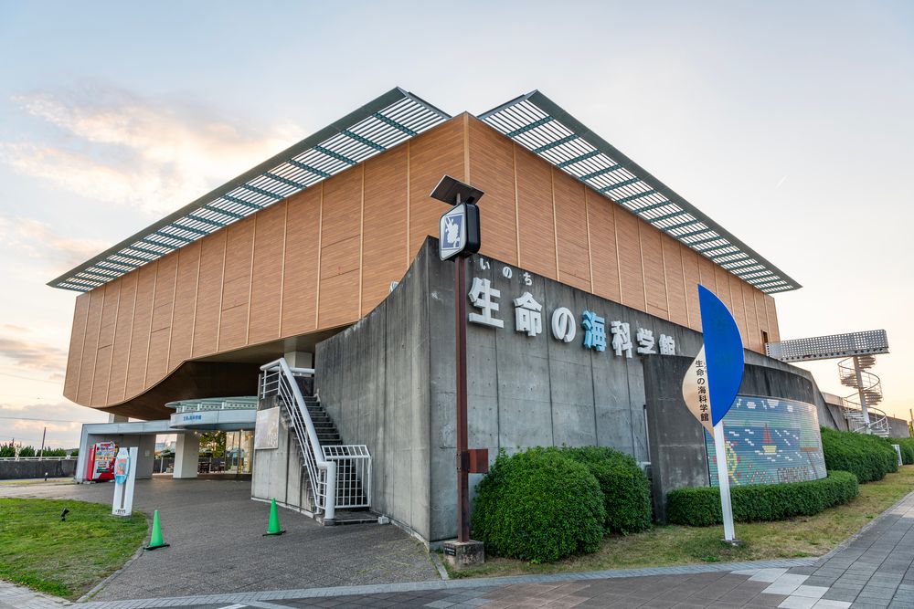 蒲郡市生命の海科学館の画像 - 3枚目