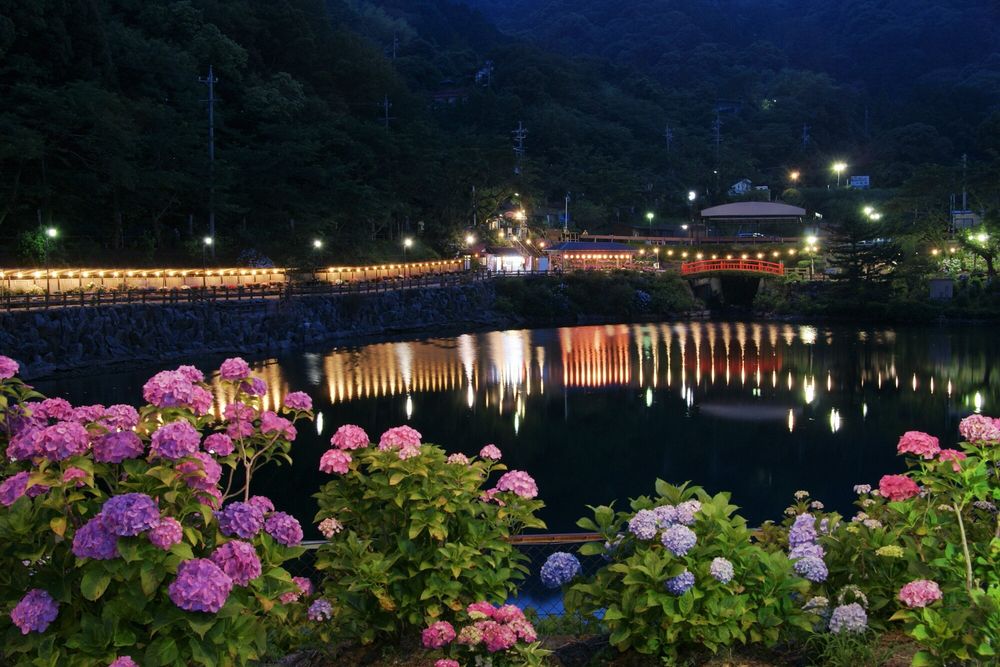 形原温泉 あじさいの里の画像 - 2枚目