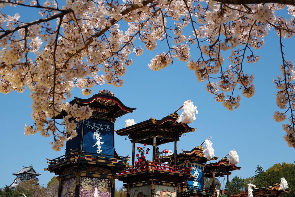 針綱神社の画像 - 3枚目