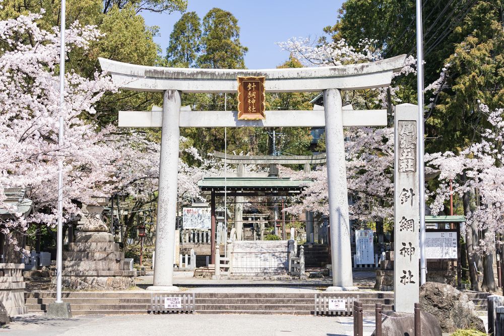 針綱神社の画像 - 5枚目