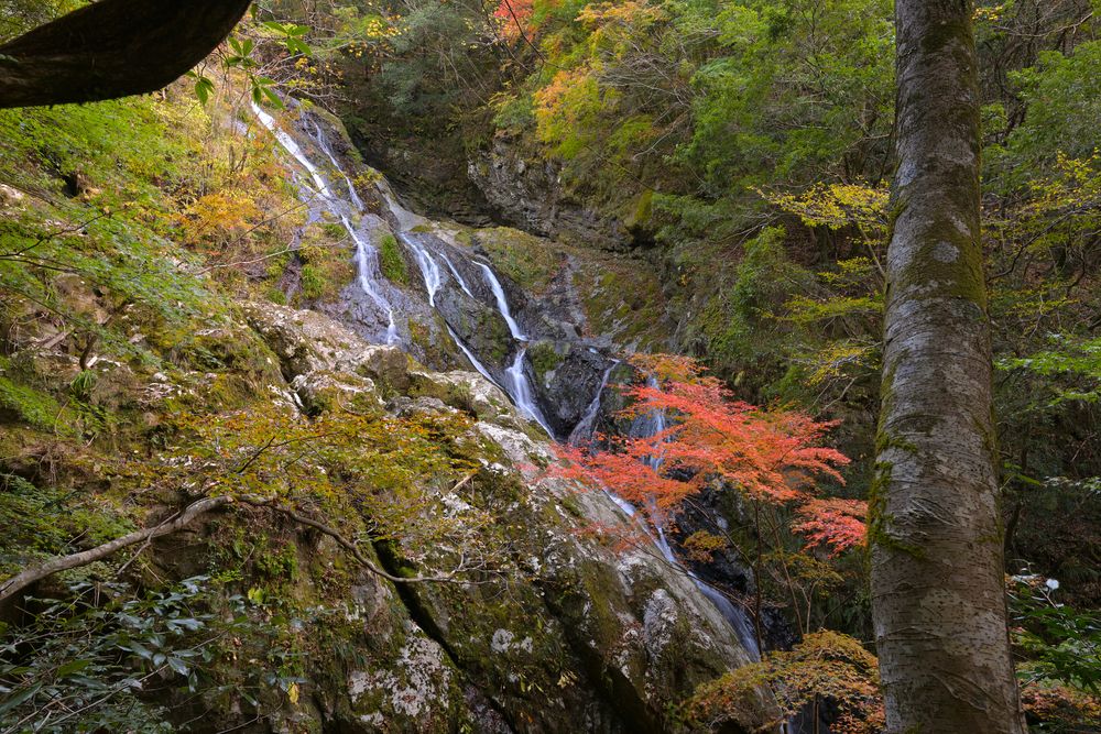 百間滝の画像 - 4枚目