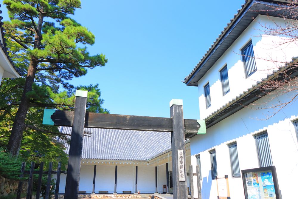 田原市博物館の画像 - 5枚目
