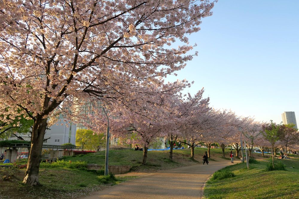 扇町公園の画像 - 3枚目