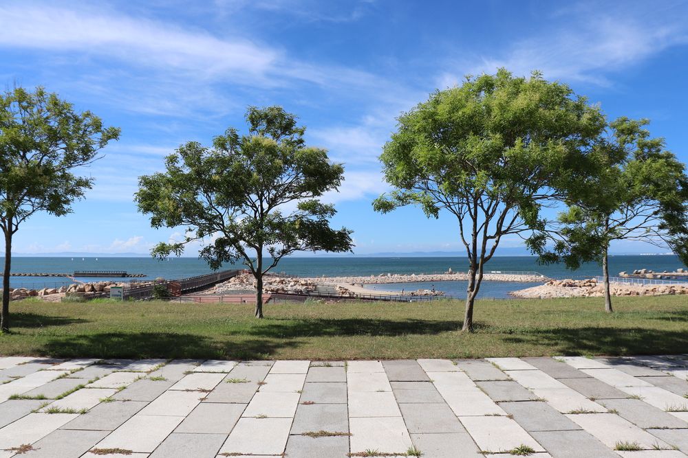せんなん里海公園の画像 - 3枚目