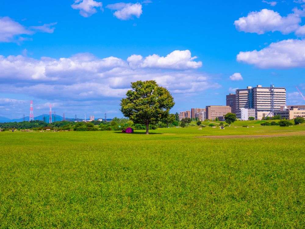 淀川河川公園 枚方地区の画像 - 4枚目