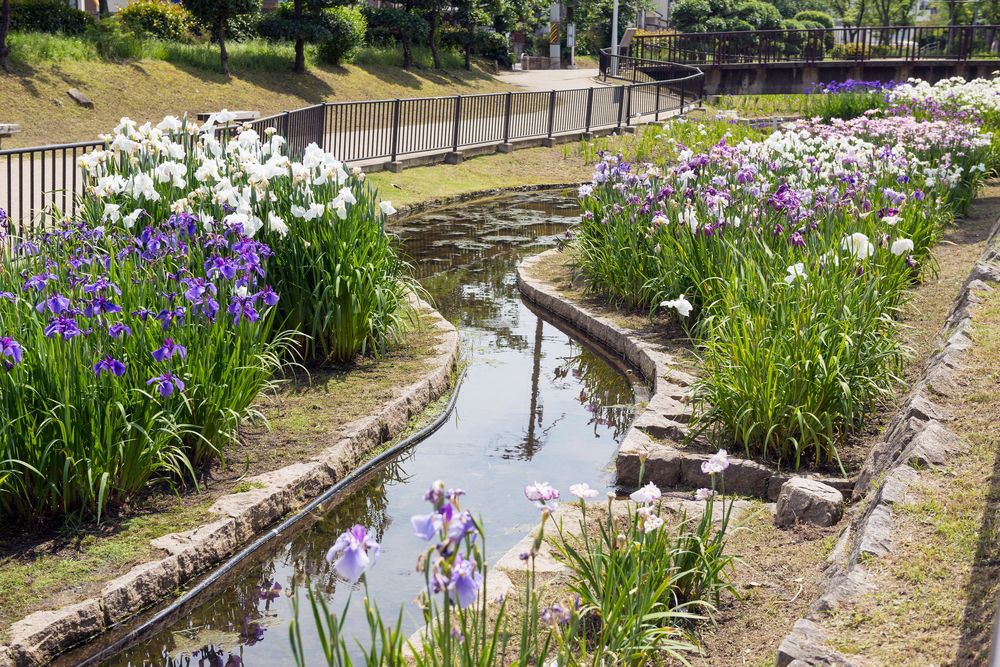 大浜公園の画像 - 3枚目