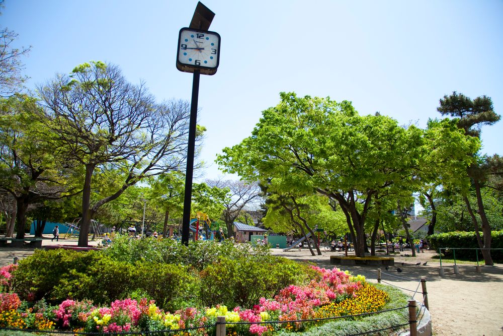 住吉公園の画像 - 4枚目